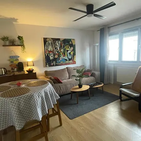 Le Colmarinn Renove Hypercentre Avec Ascenseur & Parking A 50m Apartment *