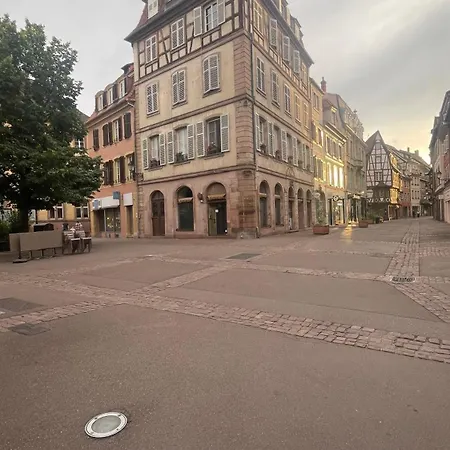 Appartement Cosy Centre-ville Colmar-ascenseur & Parking Prive En Sous Sol *