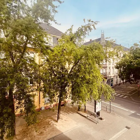 Appartamento Le Colmar'inn Cosy In Historical Center & Petite Venise Ascenseur Et Parking 50m