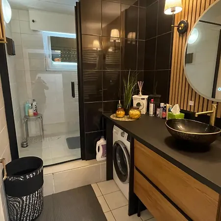 Appartamento Le Colmar'inn Cosy In Historical Center & Petite Venise Ascenseur Et Parking 50m