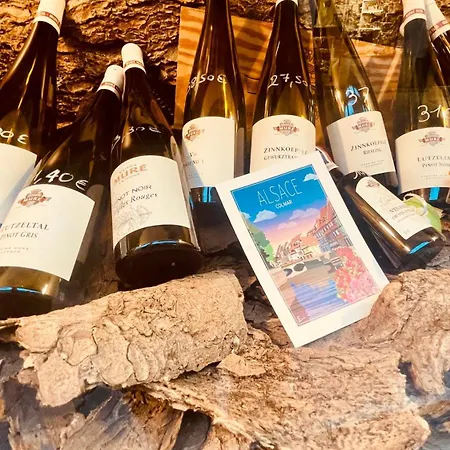 Apartmán La Colmarina Cosy 1 Bedroom Flat- Elevator Wifi & Private Parking-keybox *