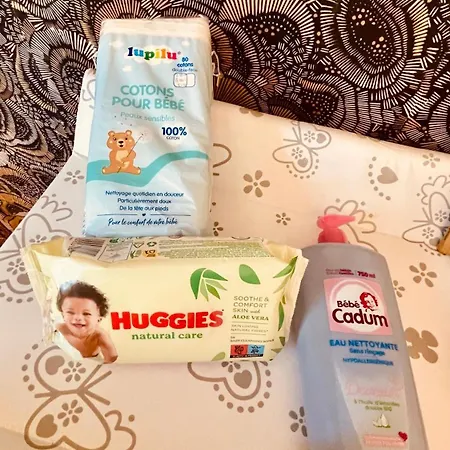 La Colmarina Cosy 1 Bedroom Flat- Elevator Wifi & Private Parking-keybox Apartmán Colmar