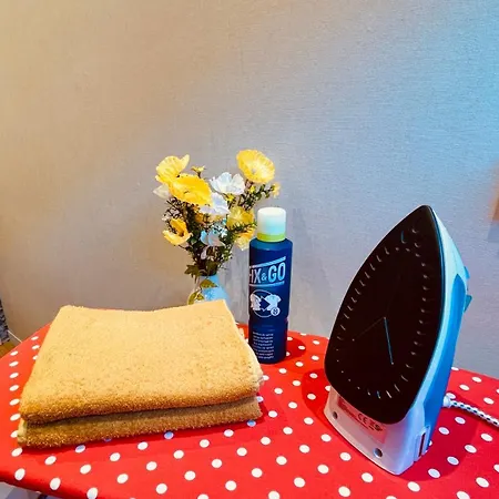 La Colmarina Cosy 1 Bedroom Flat- Elevator Wifi & Private Parking-keybox * Colmar