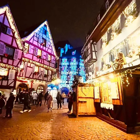 La Colmarina Cosy 1 Bedroom Flat- Elevator Wifi & Private Parking-keybox Apartmán