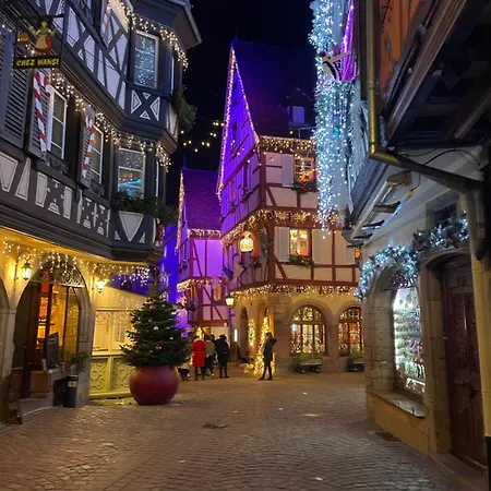 La Colmarina Cosy 1 Bedroom Flat- Elevator Wifi & Private Parking-keybox Apartmán *