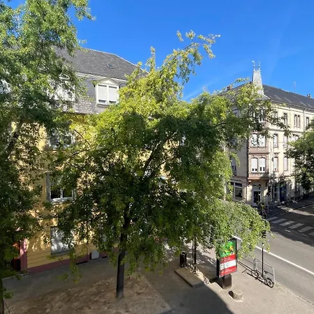 Appartement Cosy Centre-ville Colmar-ascenseur & Parking Prive En Sous Sol Colmar