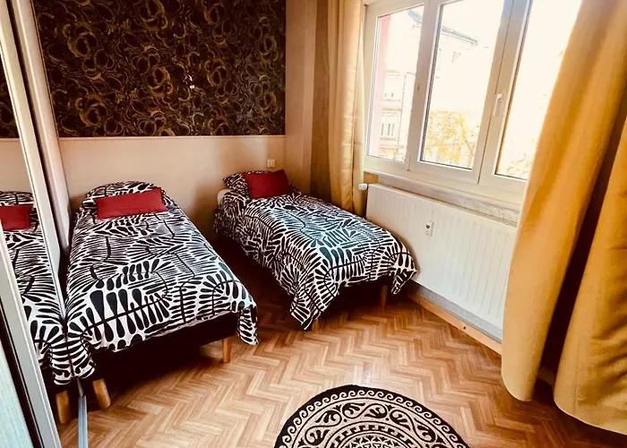 Appartement Cosy Centre-ville Colmar-ascenseur & Parking Prive En Sous Sol *