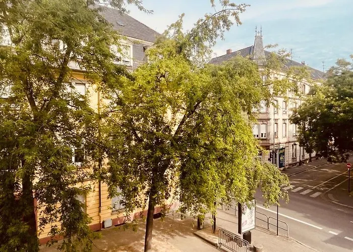 Daire Cosy Centre-ville Colmar-ascenseur & Parking Prive En Sous Sol