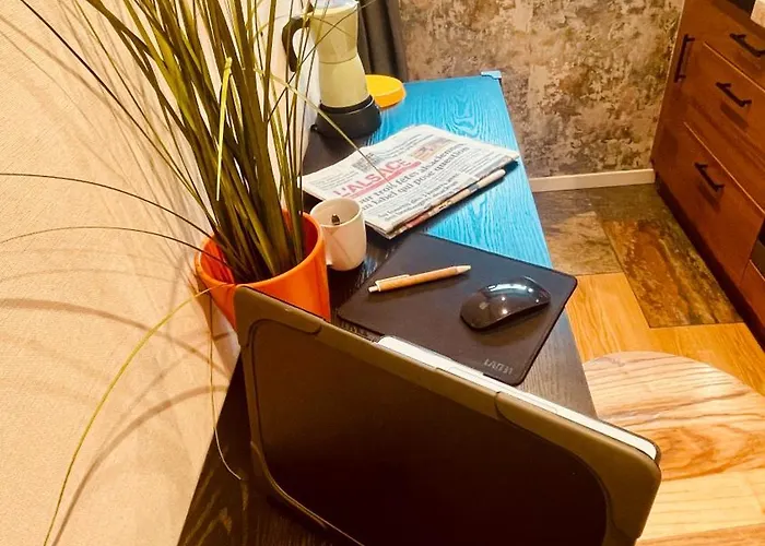 Daire Cosy Centre-ville Colmar-ascenseur & Parking Prive En Sous Sol *